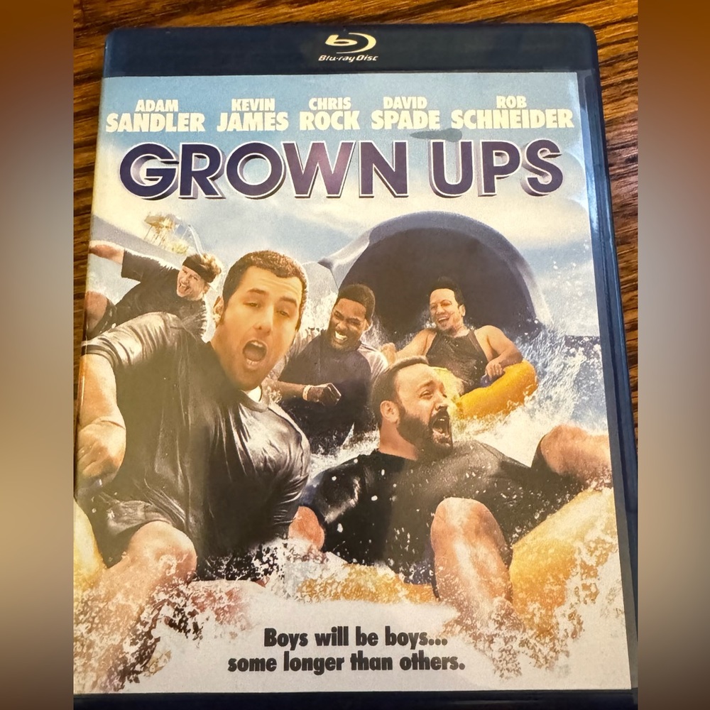 “Grown Ups” movie (2010)